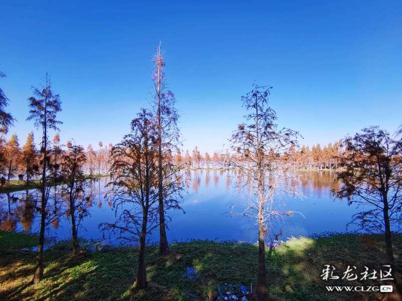 虫虫助手下载