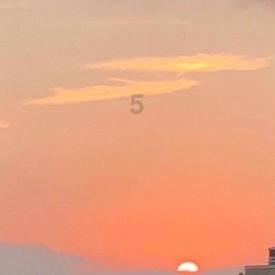 格力电器:多个自媒体账号因涉侮辱诽谤公司及高管被处罚