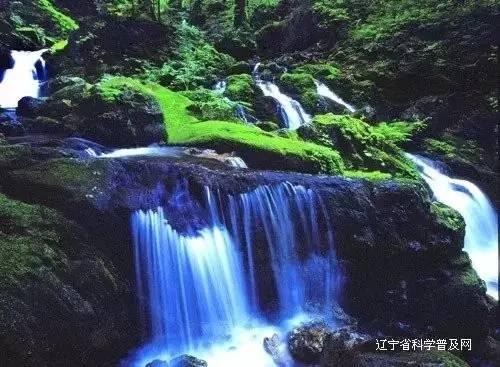 湖记:若猛龙决定送走布鲁斯布朗的话,湖人有意得到这位冠军侧翼