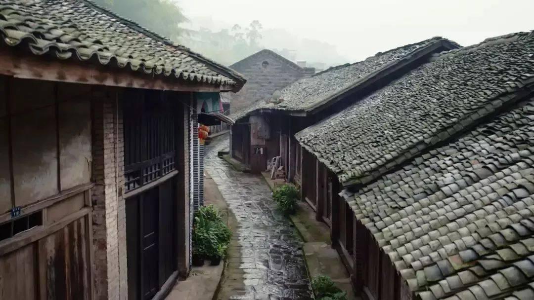 用螃蟹不会更不会造句！！游戏画面